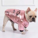 Royal Guard Shiny French Bulldog Jacket