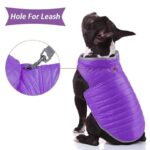 Reversible Windproof French Bulldog Vest