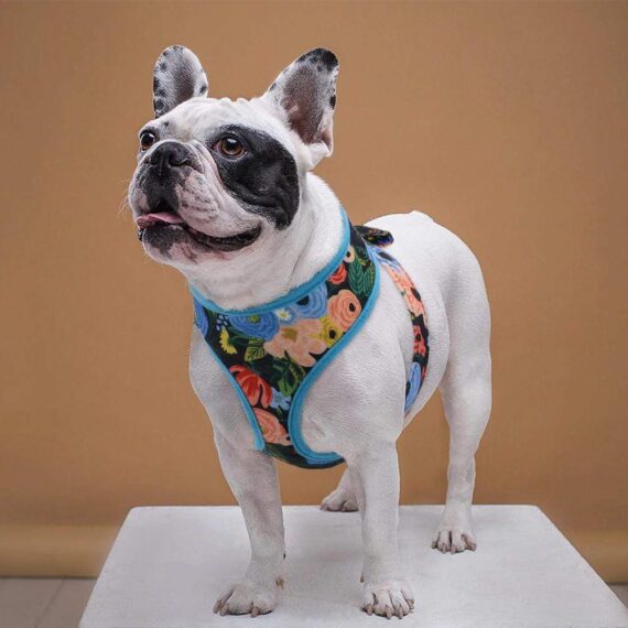 Romantic Flowers French Bulldog Harness | BATPIG Pet Supply