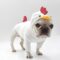 Rooster French Bulldog Hoodie