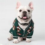 Santa Bear French Bulldog Cardigan