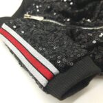 Shine And Shimmer French Bulldog Light Jacket