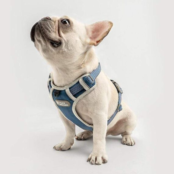 french bulldog harness