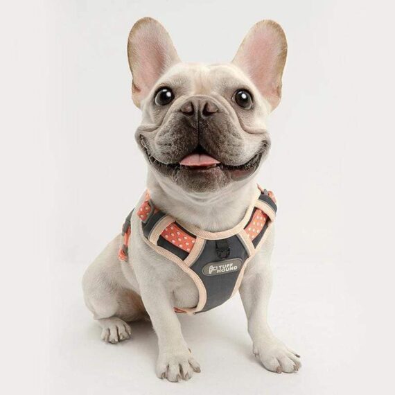 French Bulldog Backpack Harness Set