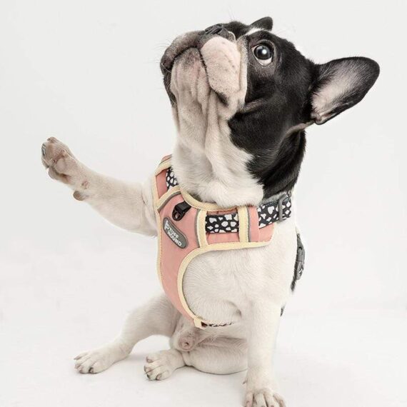 Tuff Hound Nylon Comfortable French Bulldog Harness