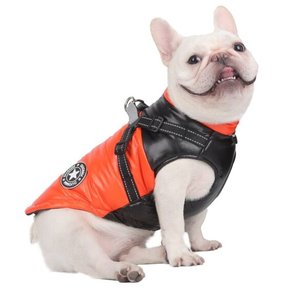 French Bulldog Pattern Vest Harness – QTpawz