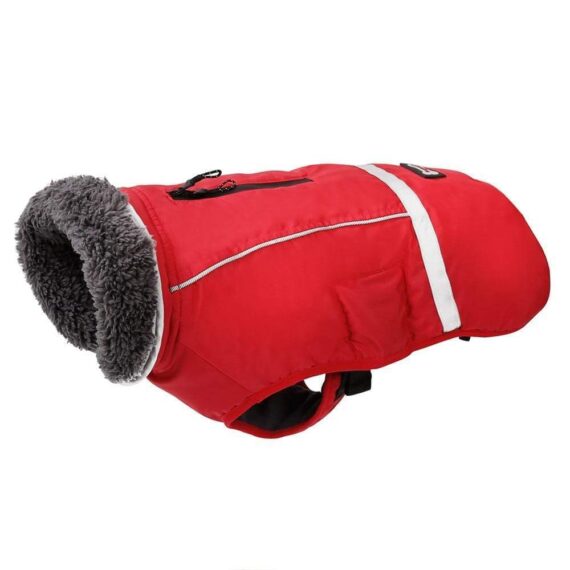 Waterproof Winter Parka for French Bulldogs