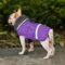 Waterproof Winter Parka for French Bulldogs