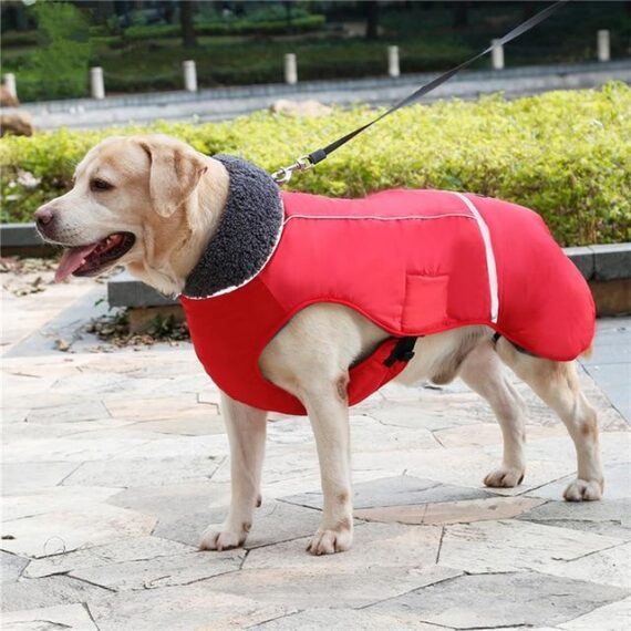 Waterproof Winter Parka for French Bulldogs