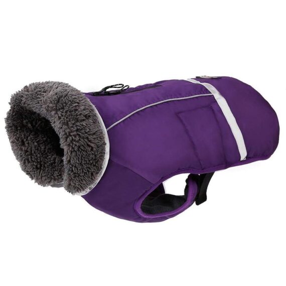 Waterproof Winter Parka for French Bulldogs