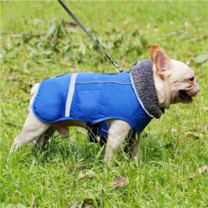 Waterproof French Bulldog Parka