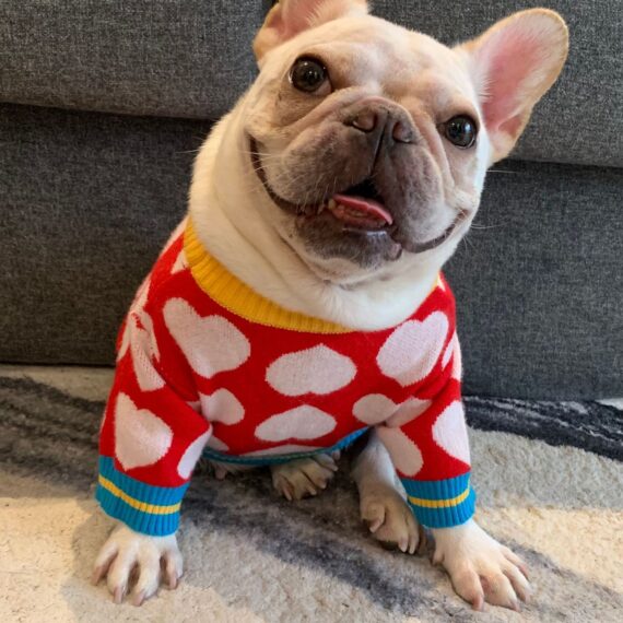 White Hearts French Bulldog Sweater