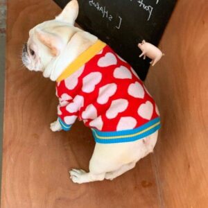 White Hearts French Bulldog Sweater
