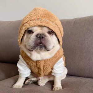 Cozy Stars French Bulldog Winter Hoodie