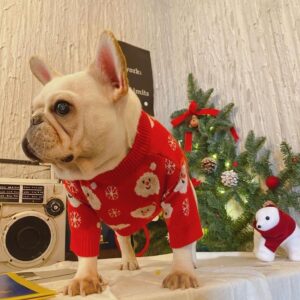 Xmas Santa French Bulldog Sweater