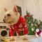 Xmas Santa French Bulldog Sweater