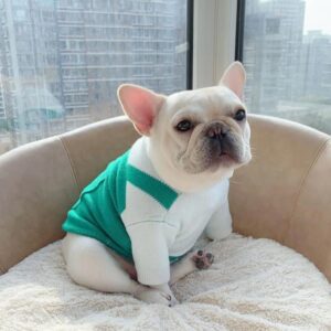 Your Personal Coffee Maker French Bulldog Sweater