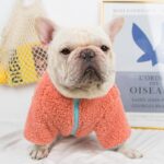 Zip Fuzzy Frenchie Jacket