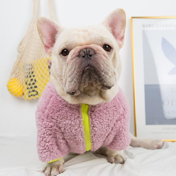 Zip Fuzzy Frenchie Jacket