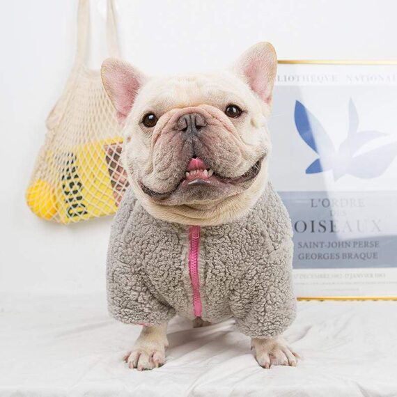 Zip Fuzzy Frenchie Jacket