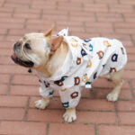 Cartoon French Bulldog Raincoat