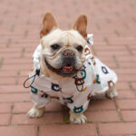 Cartoon French Bulldog Raincoat