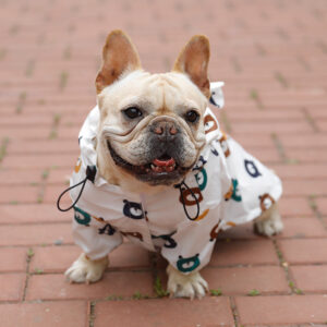 Cartoon French Bulldog Raincoat by BATPIG Pet Supply New Photo-7