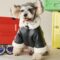French Bulldog Biker Jacket