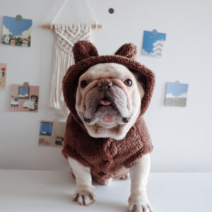 Fuzzy Winter French Bulldog Coat