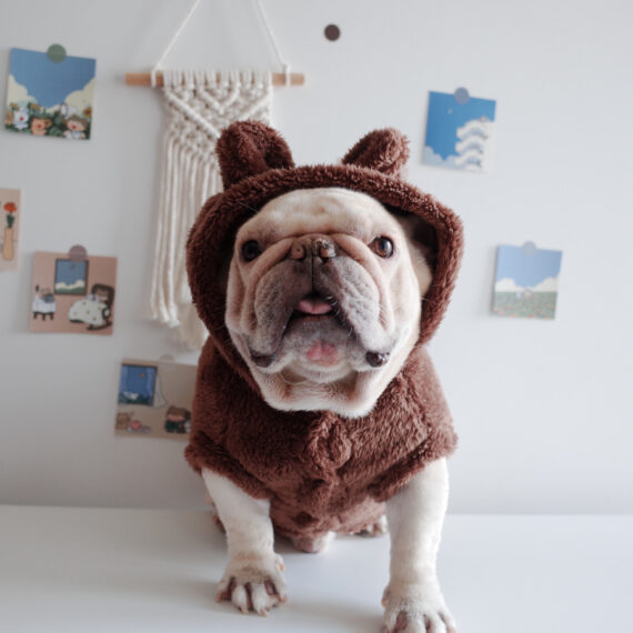 Fuzzy Winter French Bulldog Coat