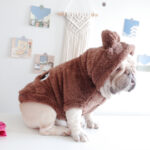 Fuzzy Winter French Bulldog Coat
