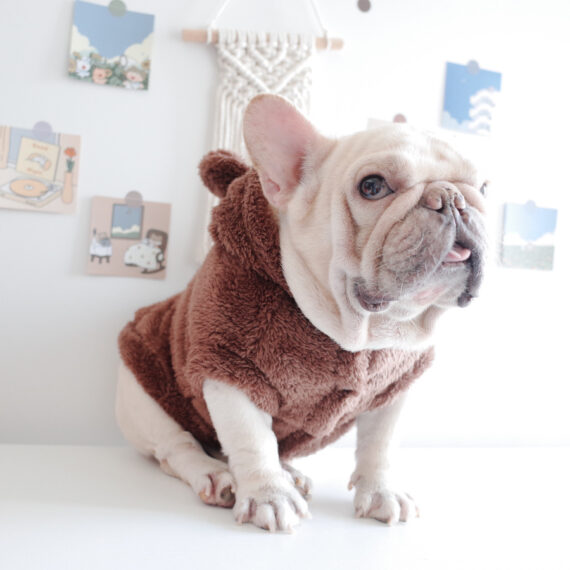 Fuzzy Winter French Bulldog Coat