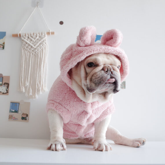 Fuzzy Winter French Bulldog Coat