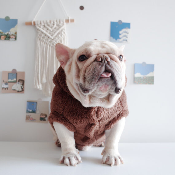 Fuzzy Winter French Bulldog Coat