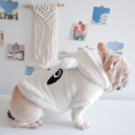 Fuzzy Winter French Bulldog Coat