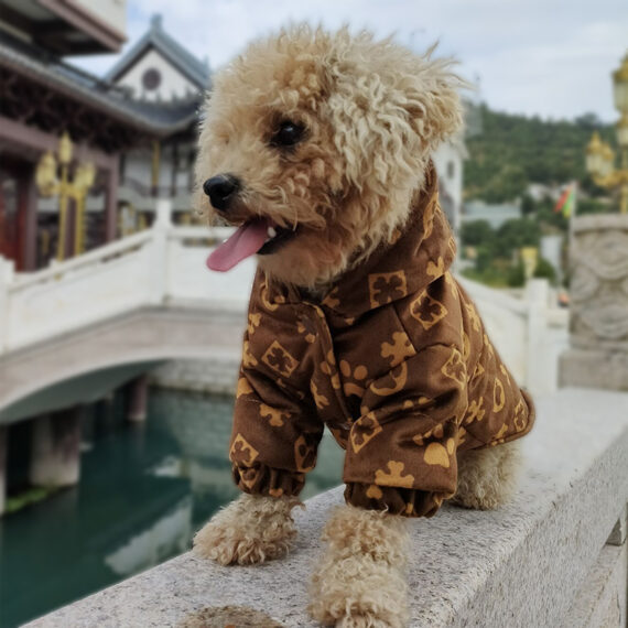Luxury Velvet French Bulldog Jacket