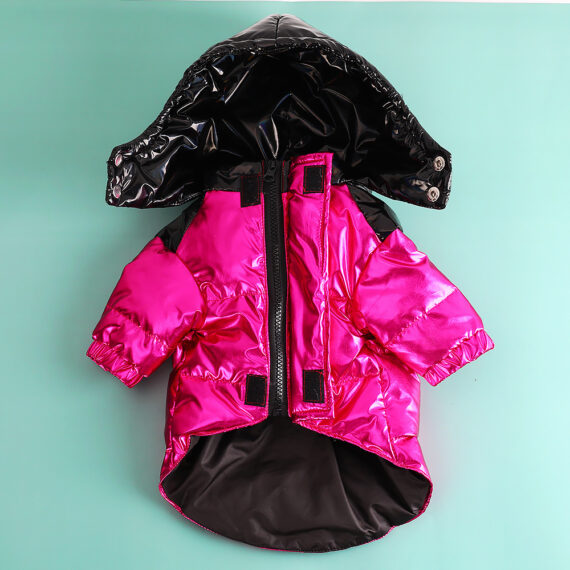 Polar Fashion French Bulldog Puffer Jacket