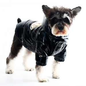 Polar Fashion French Bulldog Puffer Jacket
