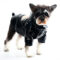 Polar Fashion French Bulldog Puffer Jacket