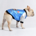 Shiny Racer French Bulldog Jacket