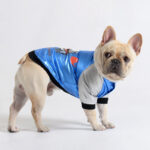 Shiny Racer French Bulldog Jacket