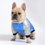 Shiny Racer French Bulldog Jacket