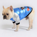 Shiny Racer French Bulldog Jacket