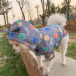 Smiley and Bears French Bulldog Raincoat Windbreaker