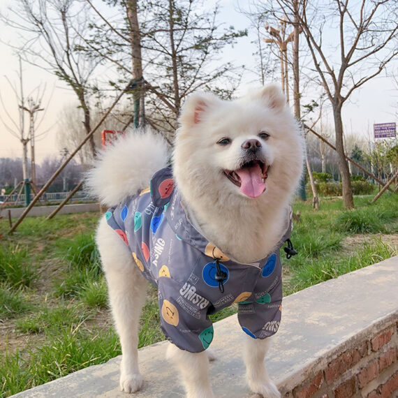 Smiley and Bears French Bulldog Raincoat Windbreaker