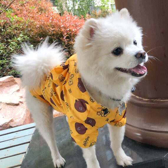 Smiley and Bears French Bulldog Raincoat Windbreaker