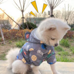 Smiley and Bears French Bulldog Raincoat Windbreaker