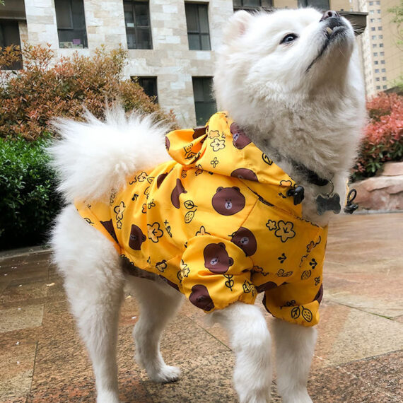 Smiley and Bears French Bulldog Raincoat Windbreaker