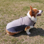 Thick Fleece French Bulldog Winter Vest
