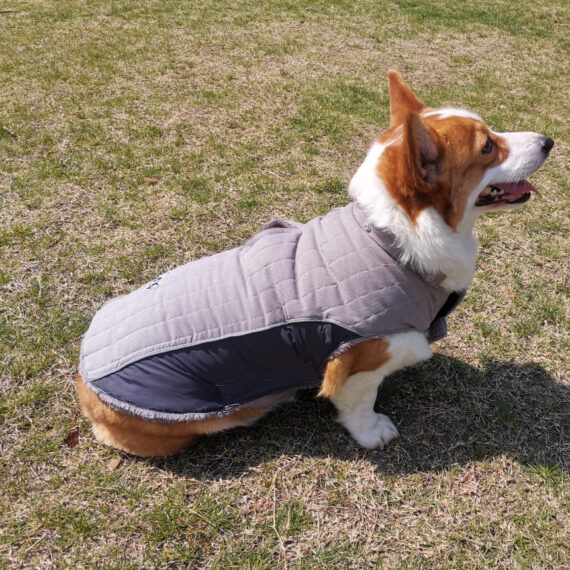 Thick Fleece French Bulldog Winter Vest